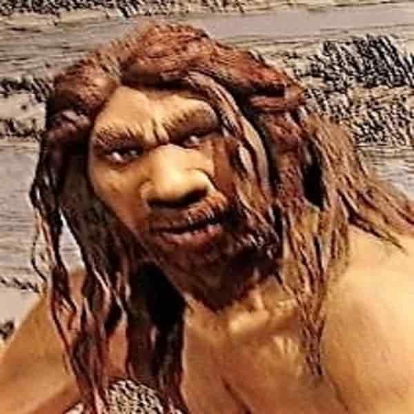 Penafsiran artistik Homo heidelbergensis