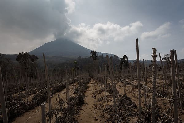 Gunung Sinabung, tanggal 29 Januari 2014