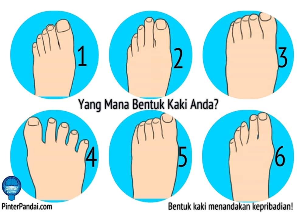 Bentuk kaki