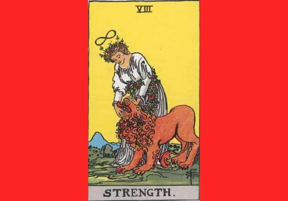 Arti Kartu Tarot 8 Strength - Kekuatan