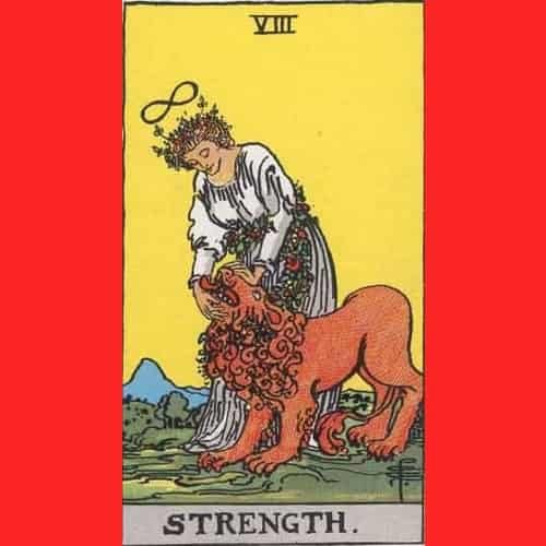 Arti Kartu Tarot 8 Strength - Kekuatan