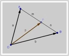 Soal catatan vektor segitiga P
