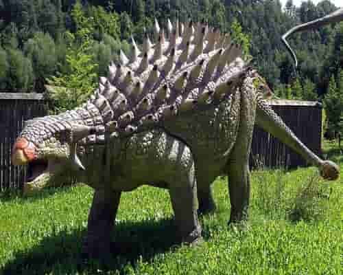 Dinosaurus ankylosaurus