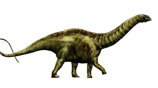 Dinosaurus apatosaurus