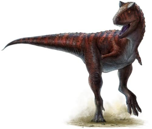 Dinosaurus carnotaurus