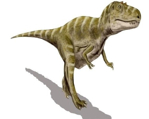 Dinosaurus gorgosaurus