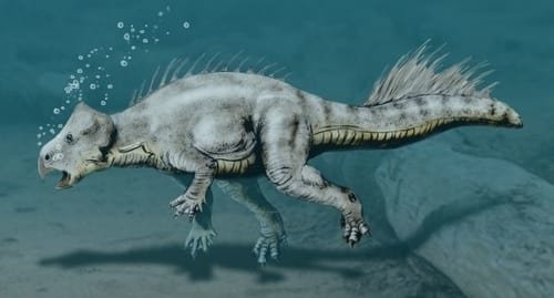 Dinosaurus koreaceratops