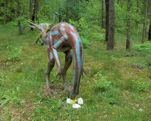 Dinosaurus ornithomimus