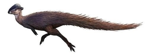 Dinosaurus stegoceras