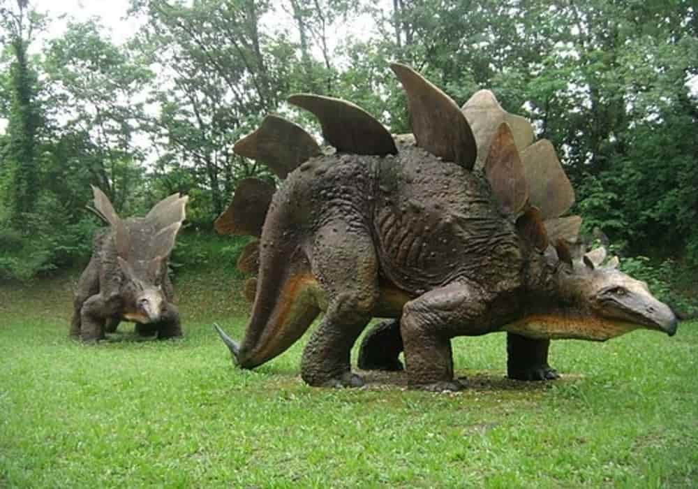 Dinosaurus punah - stegosaurus