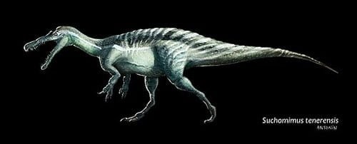 Dinosaurus suchomimustenerensis