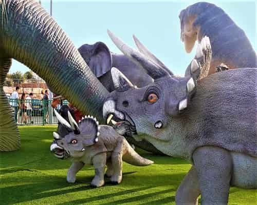 Dinosaurus triceratop