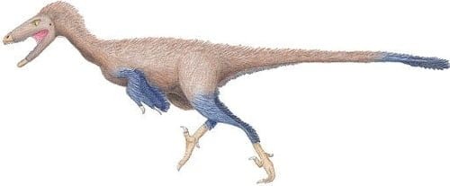 Dinosaurus troodon