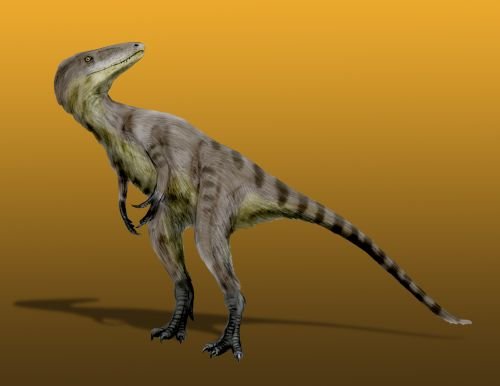 Dinosaurus xiongguanlong