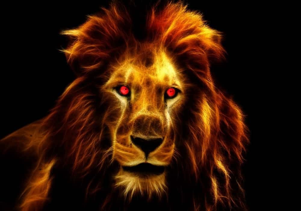 Film Lion King