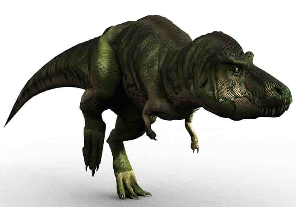 Jenis dinosaurus Tyrannosaurus rex trex