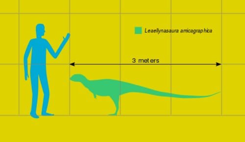 Ukuran dinosaurus leaellynasaura