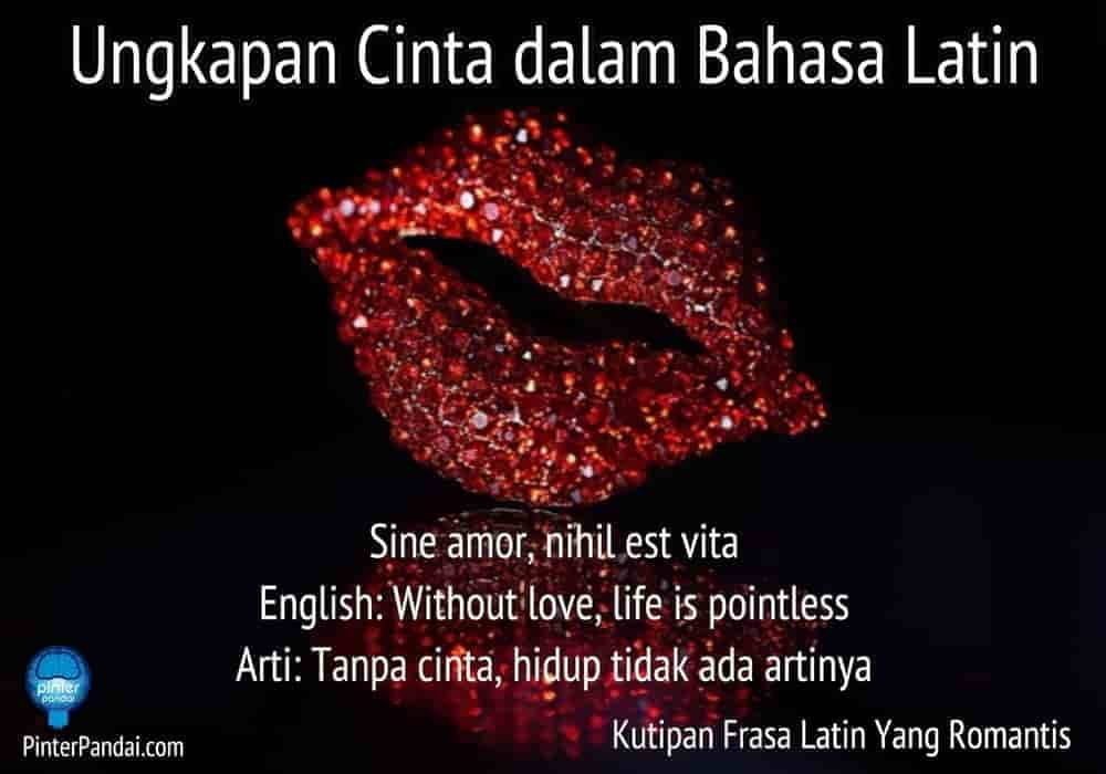 Ungkapan Cinta Dalam Bahasa Latin Kutipan Frasa Latin Romantis