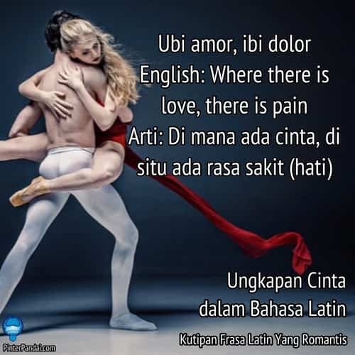 Ungkapan cinta dalam bahasa Latin