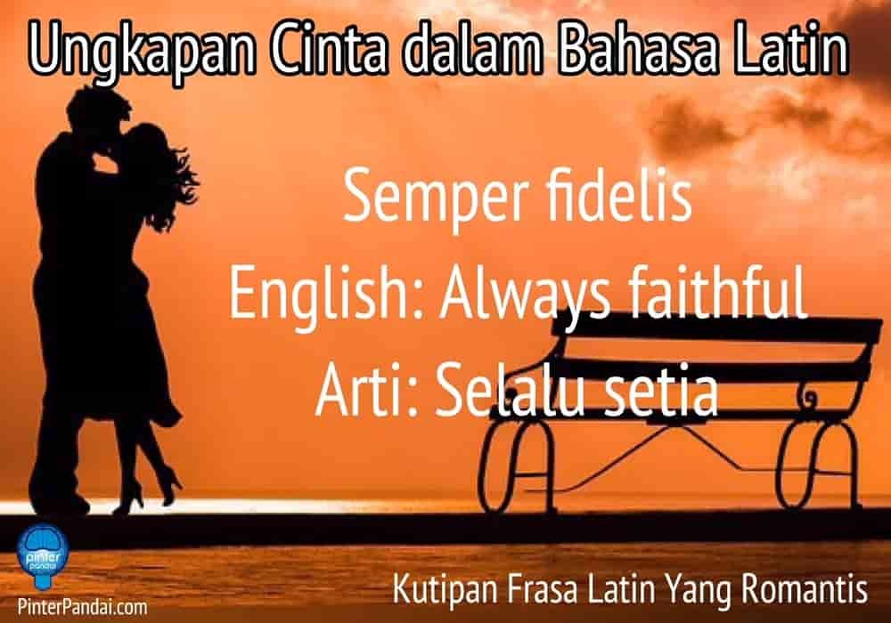 Ungkapan Cinta Dalam Bahasa Latin Kutipan Frasa Latin Romantis