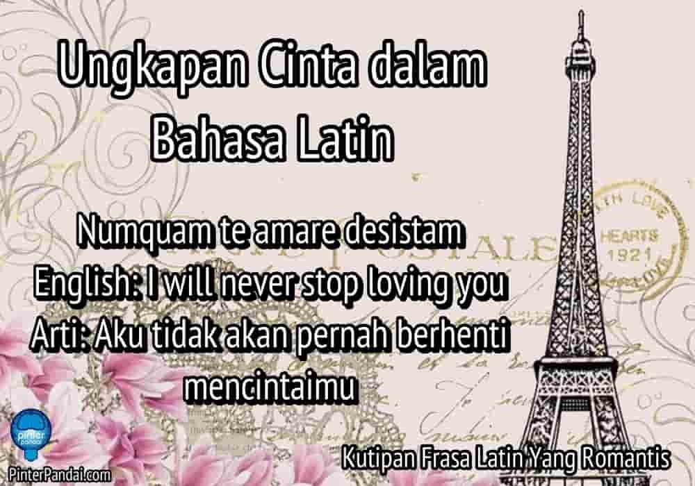 Ungkapan Cinta Dalam Bahasa Latin Kutipan Frasa Latin Romantis