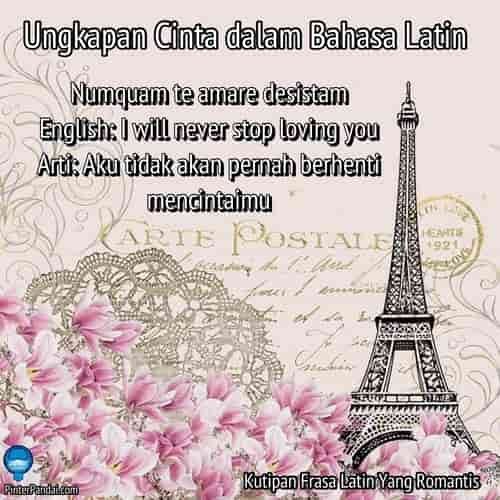 Ungkapan cinta dalam bahasa Latin - tidak berhenti mencintai