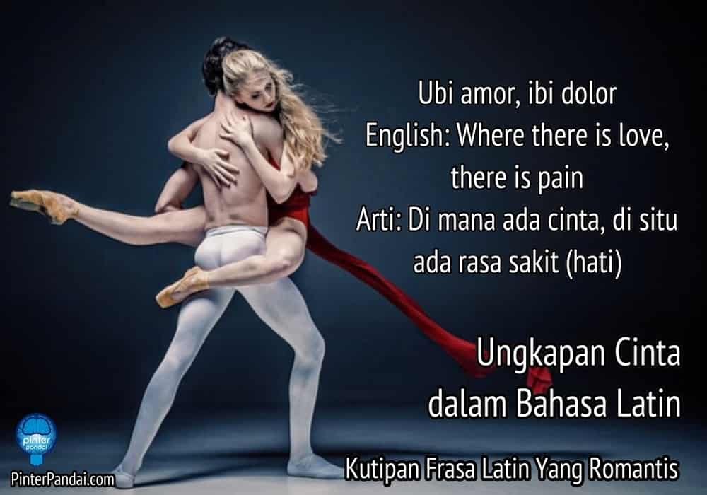 Ungkapan cinta dalam bahasa Latin