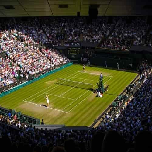 Tenis wimbledon