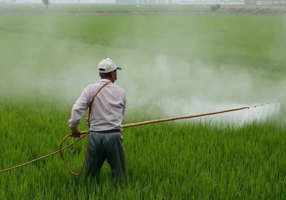 Bahaya pestisida bagi kesehatan dan lingkungan