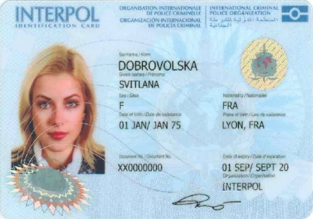 Interpol kartu identitas