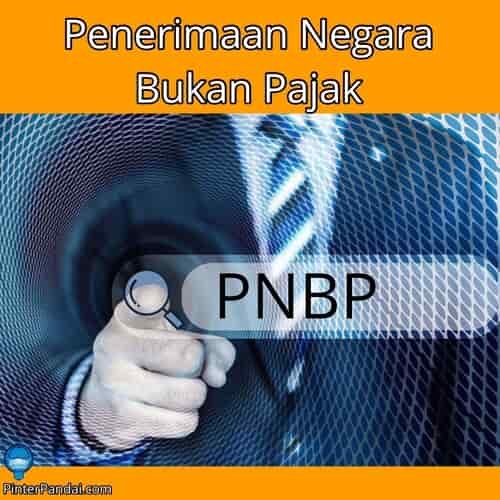 PNBP Penerimaan Negara Bukan Pajak