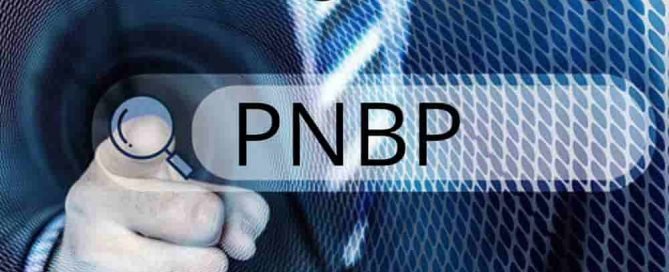 PNBP Penerimaan Negara Bukan Pajak
