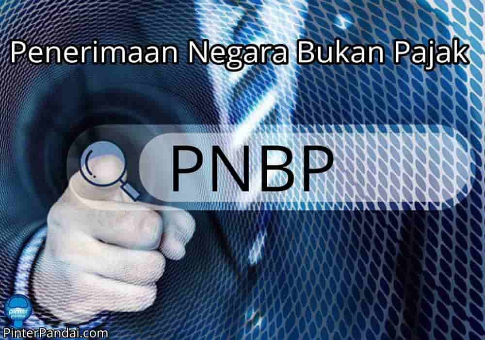 PNBP Penerimaan Negara Bukan Pajak