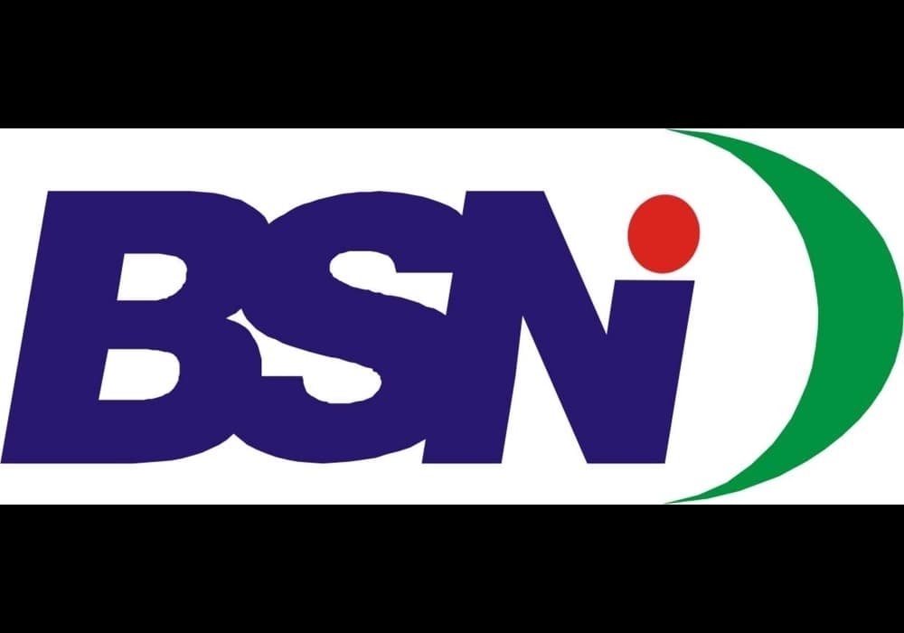 BSN Badan Standardisasi Nasional
