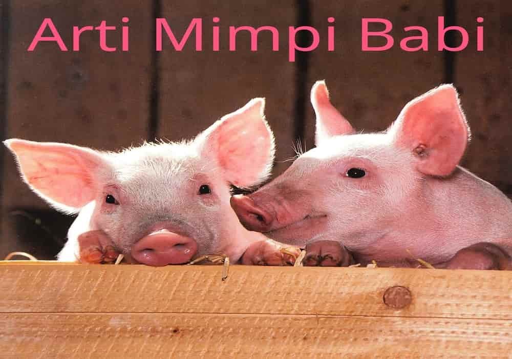 Arti mimpi babi