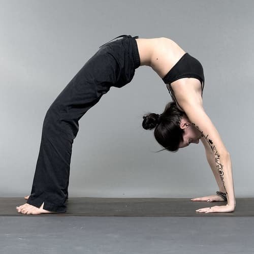 Yoga pose chakrasana asana