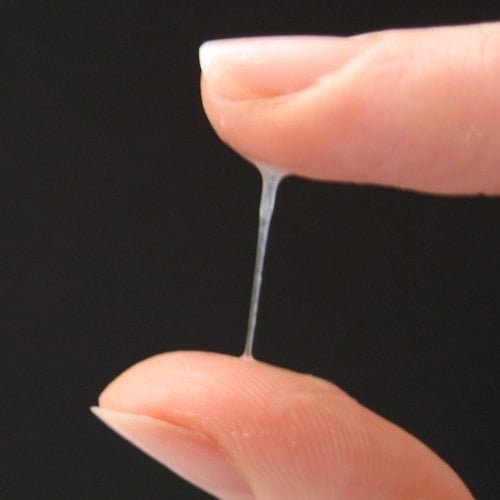 Vagina cervical mucus - keputihan