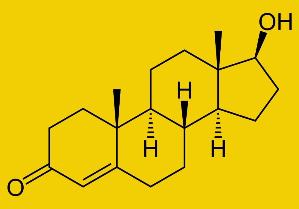 Struktur hormon testosteron