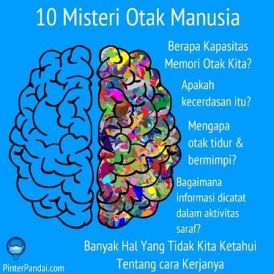 10 Misteri Otak Manusia Banyak Hal Yang Tidak Kita 