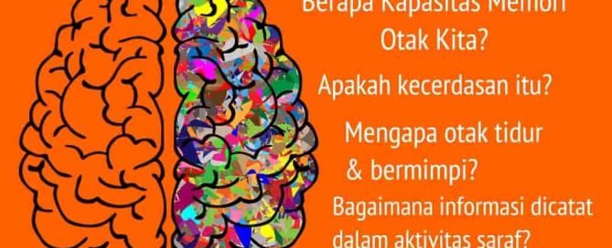 10 Misteri Otak Manusia - Banyak Hal Yang Tidak Kita Ketahui Tentang cara Kerjanya