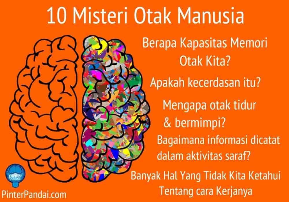 10 Misteri Otak Manusia - Banyak Hal Yang Tidak Kita Ketahui Tentang cara Kerjanya