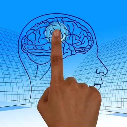 Penyebab Skizofrenia Beserta Contohnya