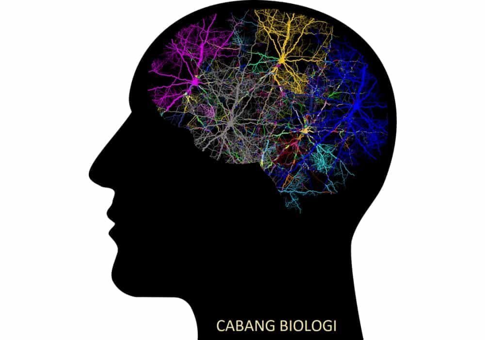 Cabang Biologi - Pengertian dan Contoh Ilmu Yang Mempelajari Apa?