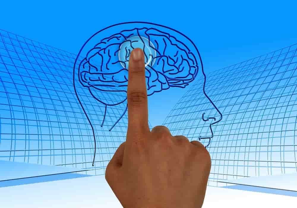 Penyebab Skizofrenia Beserta Contohnya
