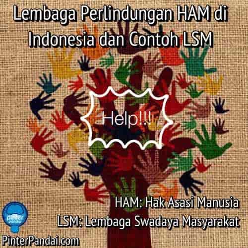 Lembaga Perlindungan HAM di Indonesia dan Contoh LSM