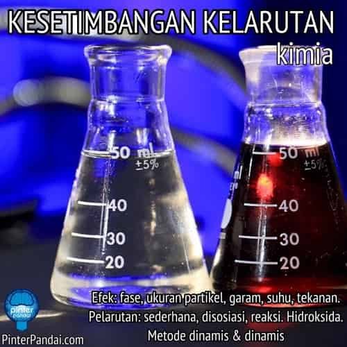 Kesetimbangan Kelarutan Kimia - Efek: fase, ukuran partikel, garam, suhu, tekanan. Pelarutan: sederhana, disosiasi, reaksi. Hidroksida. Metode dinamis & dinamis