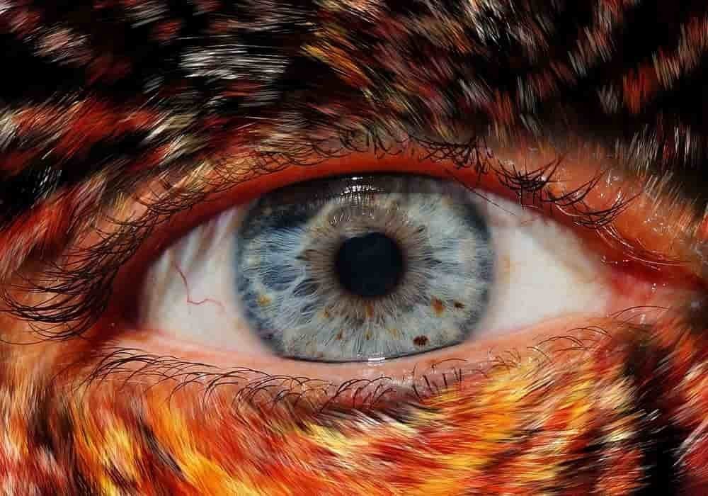 Efek tidak tidur 2 hari