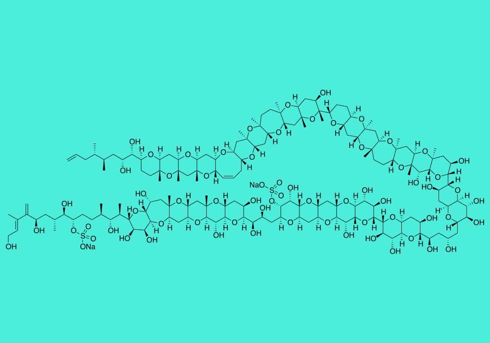 Senyawa organik struktur maitotoxin