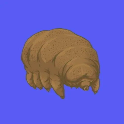 Tardigrade Hewan Kecil Yang Susah Mati - Dikenal dengan julukan Beruang Air