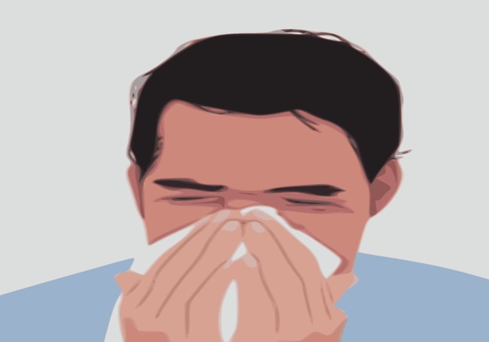 Ciri ciri alergi debu